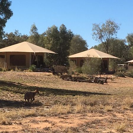 Squeakywindmill Boutique Tent B&B Alice Springs Zewnętrze zdjęcie