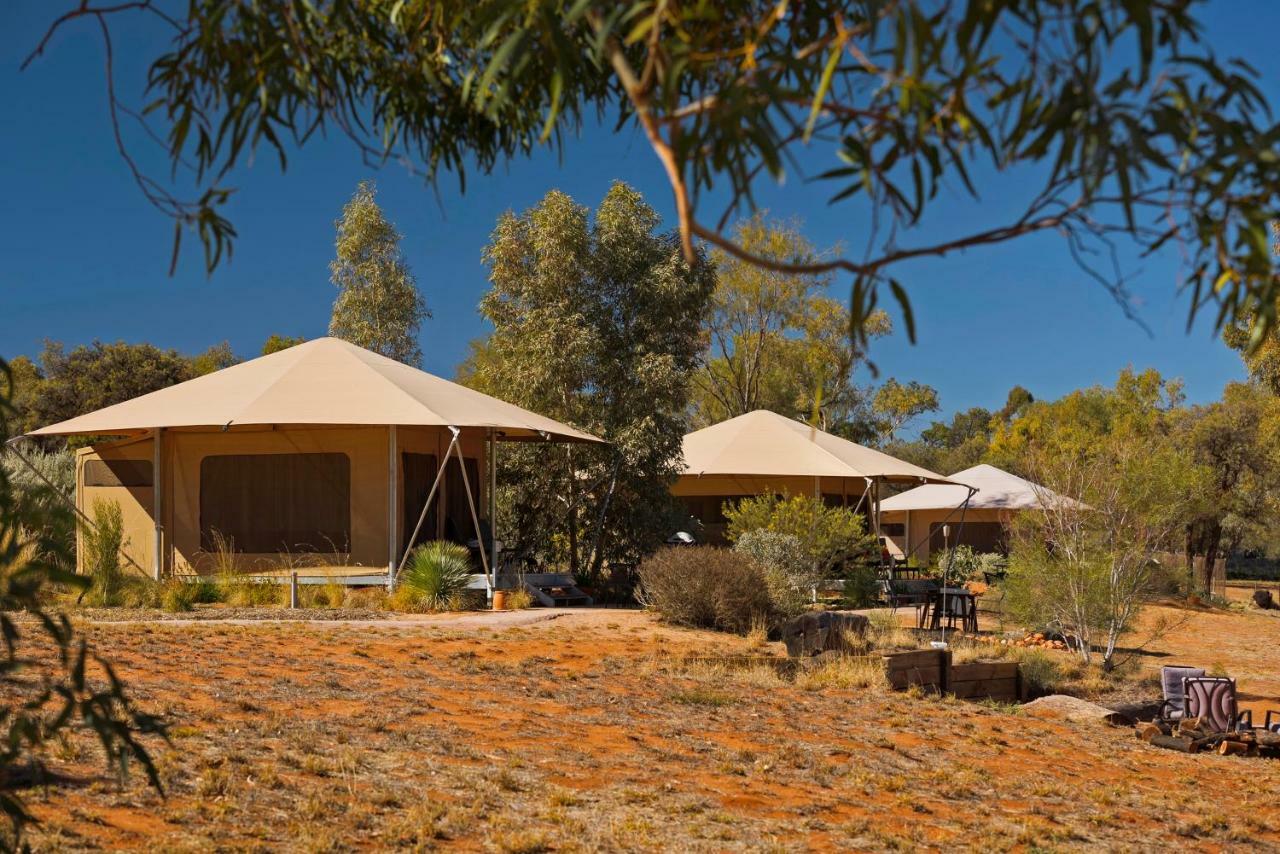 Squeakywindmill Boutique Tent B&B Alice Springs Zewnętrze zdjęcie