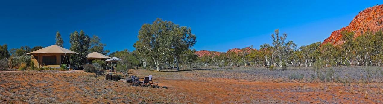 Squeakywindmill Boutique Tent B&B Alice Springs Zewnętrze zdjęcie